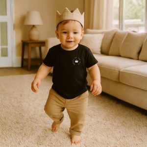 baby shirt prince of the day