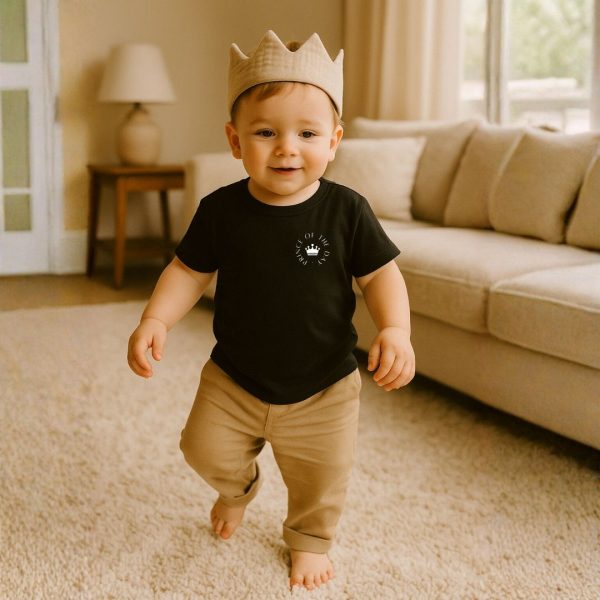 baby shirt prince of the day